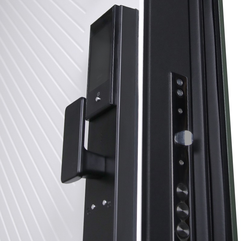 Входная дверь Стальная дверь Лион (биометрический замок Smart lock DZ 888). Заказная модель.