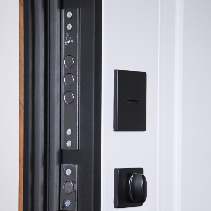Входная дверь Стальная дверь Plata (биометрический замок Smart lock DZ 888)