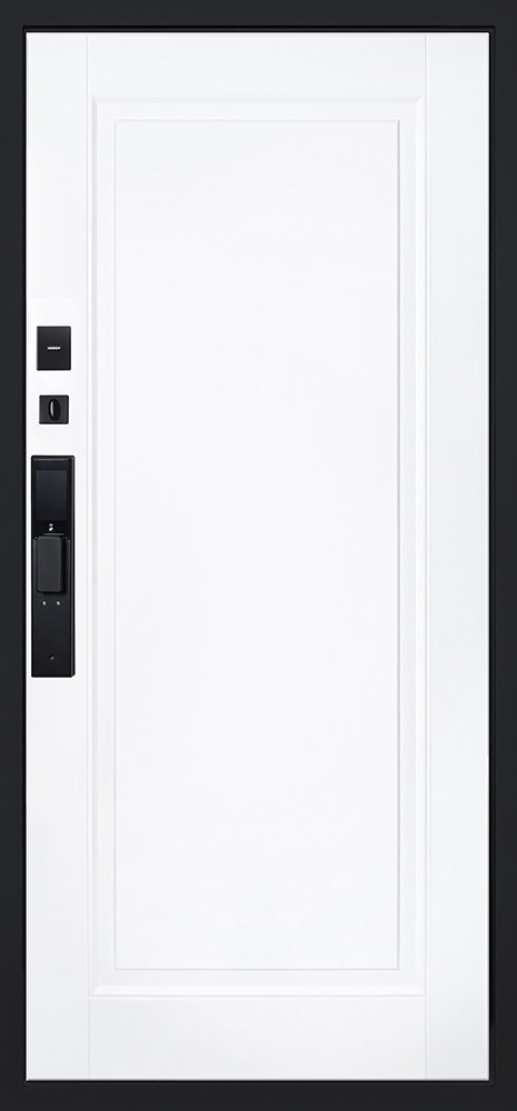 Входная дверь Стальная дверь Сапсан (биометрический замок Smart lock DZ 888)