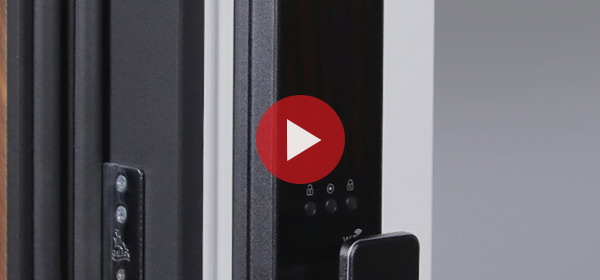 Входная дверь Стальная дверь Plata с зеркалом (биометрический замок Smart lock Y12)