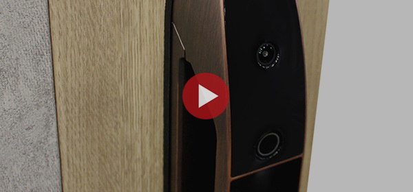 Электронный замок Smart lock USmart GOD Z001D