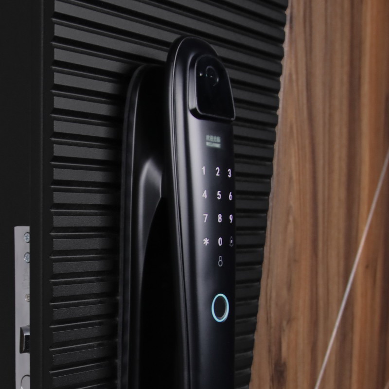 Входная дверь Стальная дверь Сапсан (биометрический замок Smart lock DZ 888)