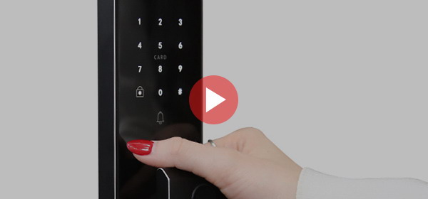 Биометрический врезной дверной замок Smart lock Y 12
