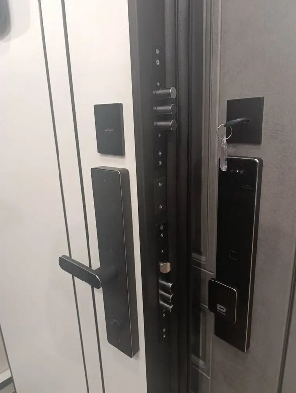 Входная дверь Стальная дверь Forest (биометрический замок Smart lock R06)