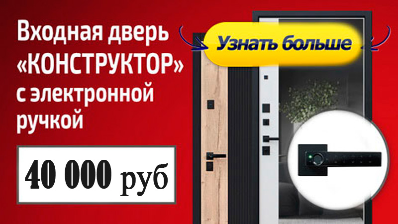 Входная дверь Стальная дверь Конструктор с зеркалом (биометрический замок DZ 888)
