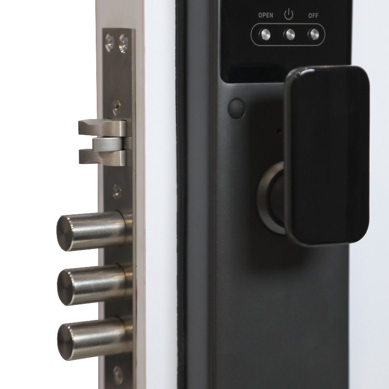 Электронный замок Smart lock DZ21Pro