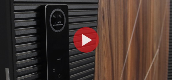 Входная дверь Стальная дверь Сапсан (биометрический замок Smart lock Y12)