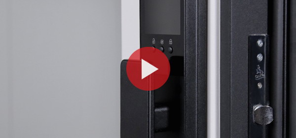 Входная дверь Стальная дверь Сапсан с зеркалом (биометрический замок Smart lock К06)