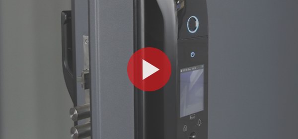 Входная дверь Стальная дверь Nid. Заказная модель.