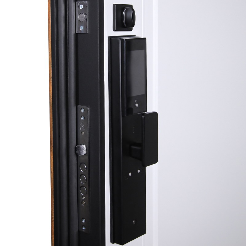 Входная дверь Стальная дверь Plata (биометрический замок Smart lock DZ 888)