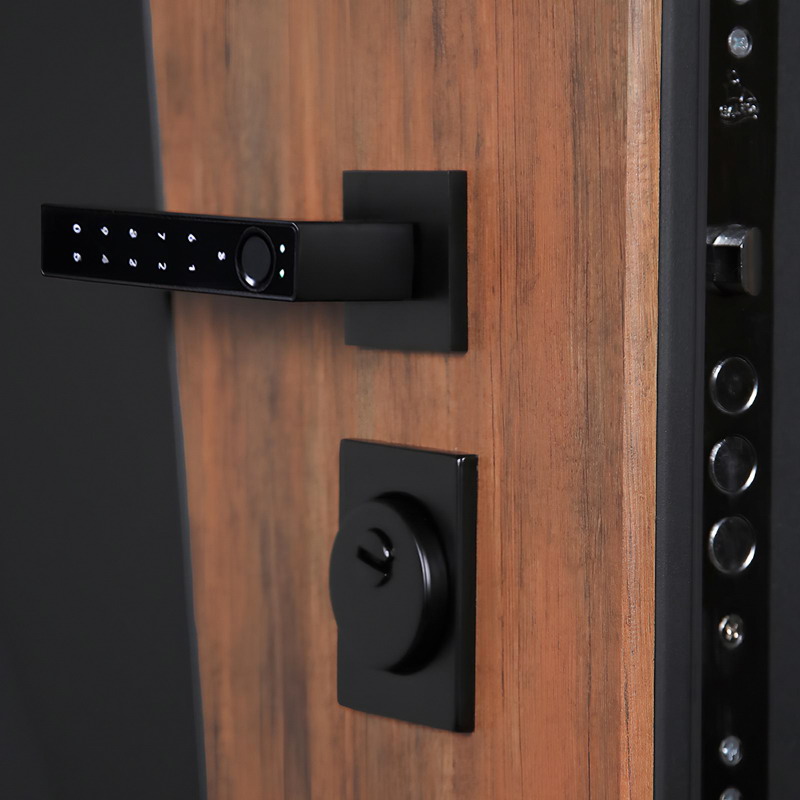 Входная дверь Стальная дверь Макс 3D с зеркалом (Smart lock DZ 888). Заказная модель.