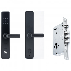 Дверной замок Gimmel F20 TTLock
